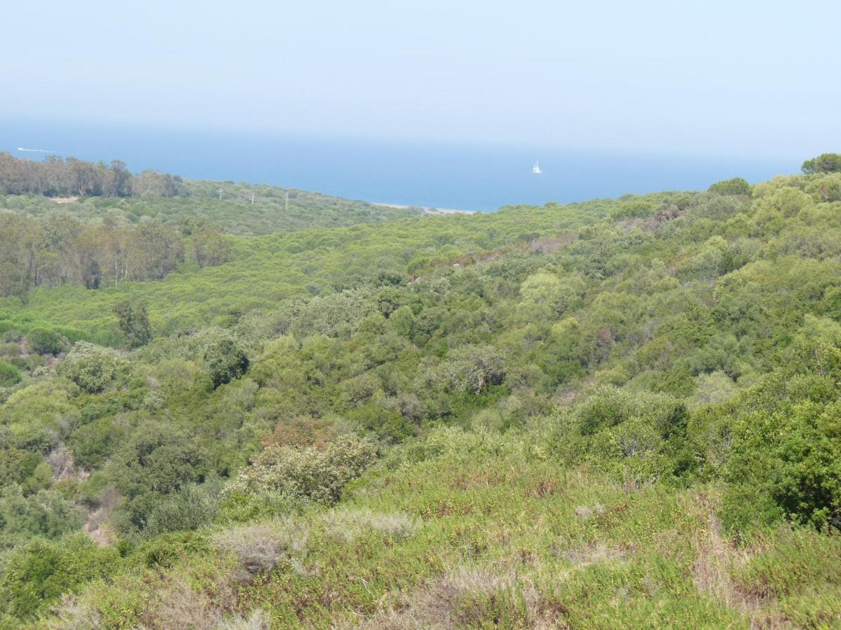 Terrazas De Alcaidesa 2361 Διαμέρισμα Εξωτερικό φωτογραφία